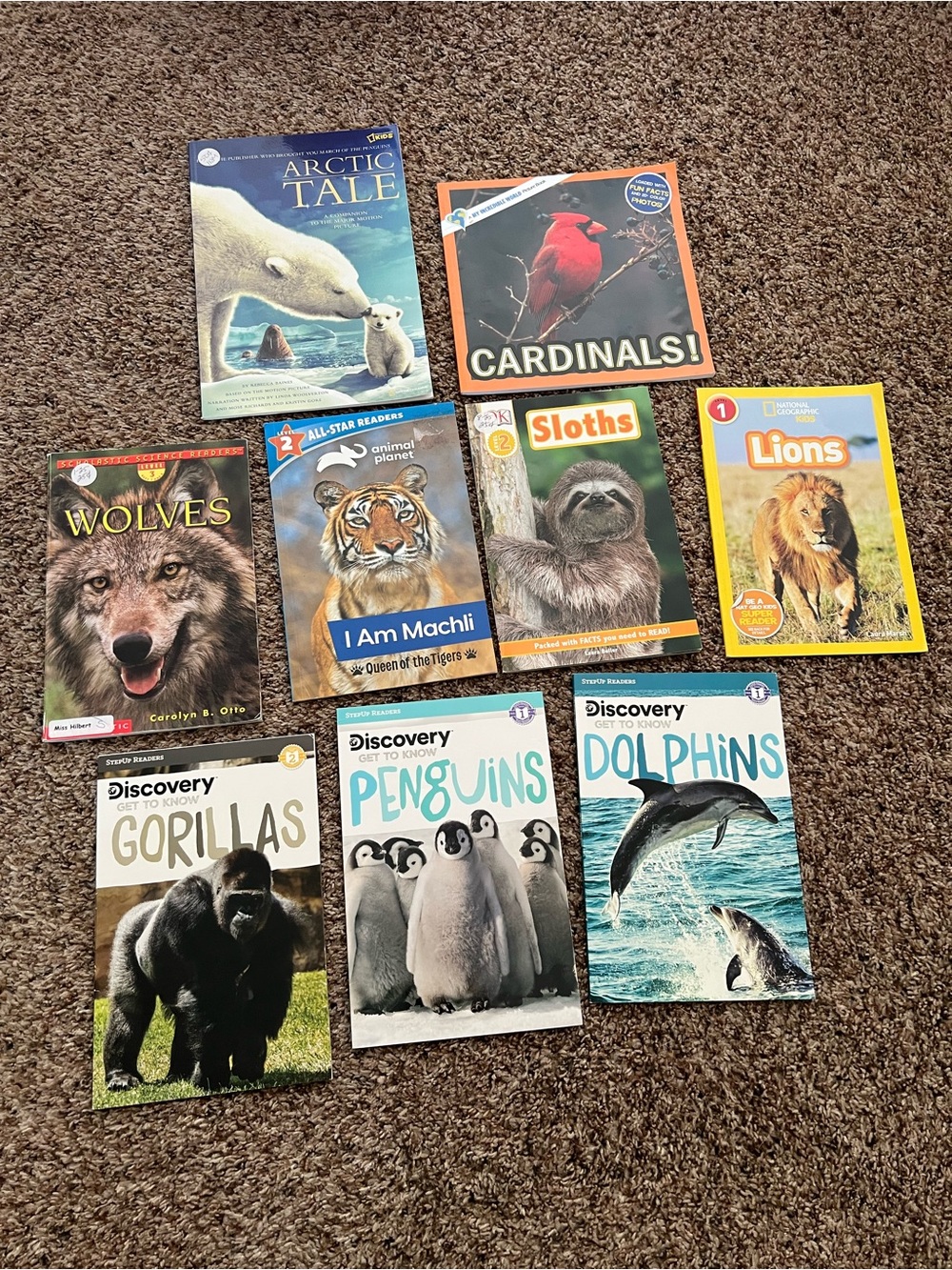 Kids Animal Book Bundle